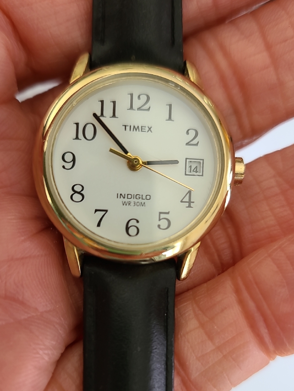 Timex Gold Case White Dial Black Leather Strap Watch